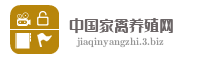 中国家禽养殖网