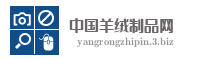 中国羊绒制品网