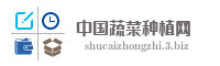 中国蔬菜种植网