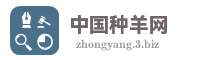 中国种羊网