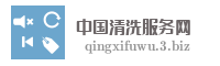 中国清洗服务网