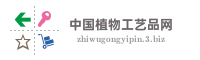 中国植物工艺品网