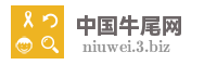 中国牛尾网