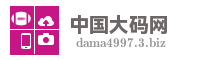 中国大码网