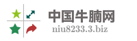 中国牛腩网