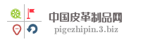 中国皮革制品网