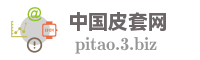 中国皮套网