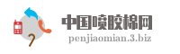 中国喷胶棉网