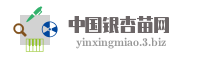 中国银杏苗网