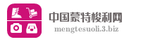 中国蒙特梭利网