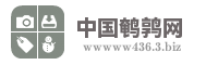 中国鹌鹑网