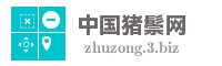 中国猪鬃网