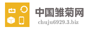 中国雏菊网