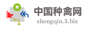 中国种禽网