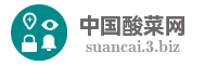 中国酸菜网