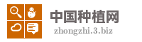 中国种植网