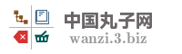 中国丸子网
