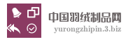 中国羽绒制品网