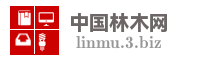 中国林木网