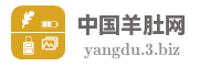 中国羊肚网