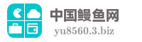 中国鳗鱼网