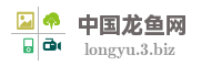中国龙鱼网