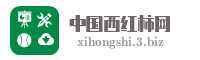 中国西红柿网