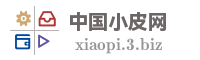 中国小皮网