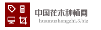中国花木种植网