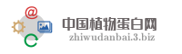 中国植物蛋白网