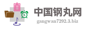 中国钢丸网