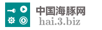 中国海豚网