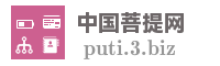 中国菩提网