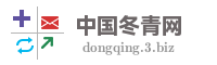 中国冬青网