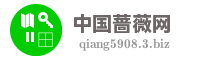 中国蔷薇网