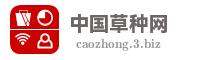 中国草种网