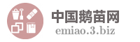 中国鹅苗网