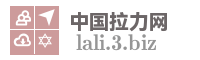 中国拉力网