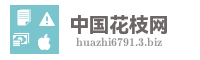 中国花枝网