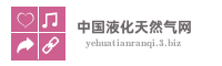 中国液化天然气网