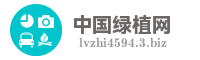 中国绿植网