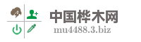 中国桦木网