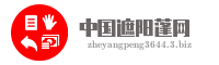 中国遮阳蓬网