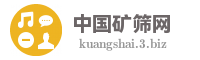 中国矿筛网