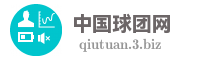 中国球团网