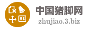 中国猪脚网