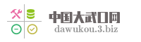 中国大武口网