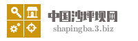 中国沙坪坝网