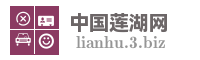 中国莲湖网