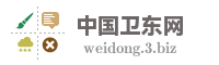中国卫东网